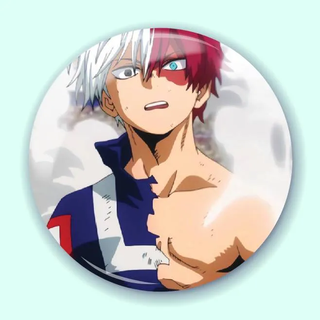 Значок My Hero Academia 49