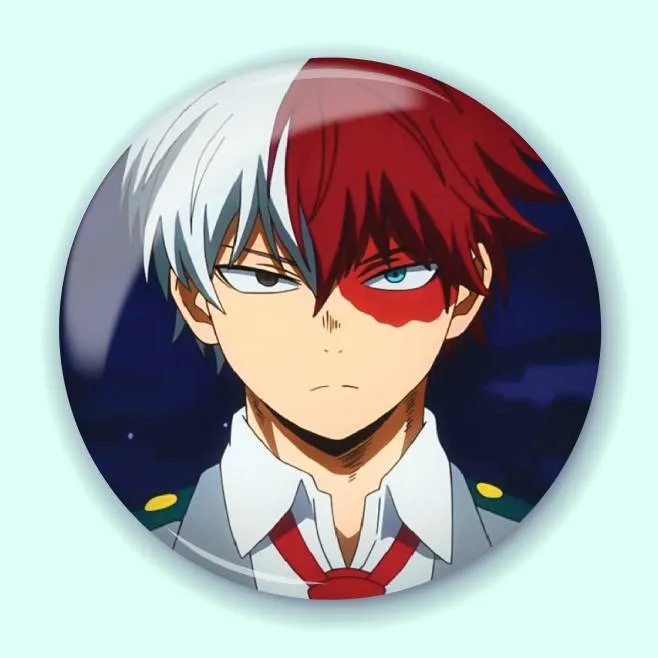 Значок My Hero Academia 20